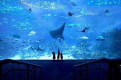 海洋館水質(zhì)處理解決方案，為海洋館帶來更加潔凈健康的水質(zhì)!
