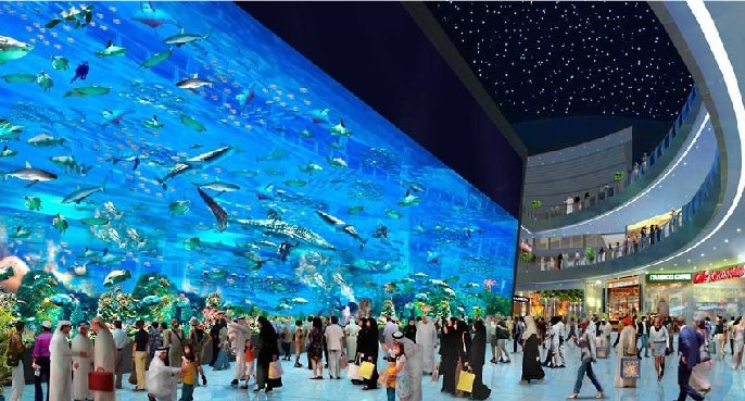 海洋館設(shè)計，海洋館設(shè)計要點，海洋館設(shè)計公司