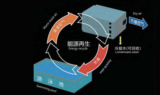 室內(nèi)泳池，室內(nèi)恒溫泳池，室內(nèi)泳池除濕