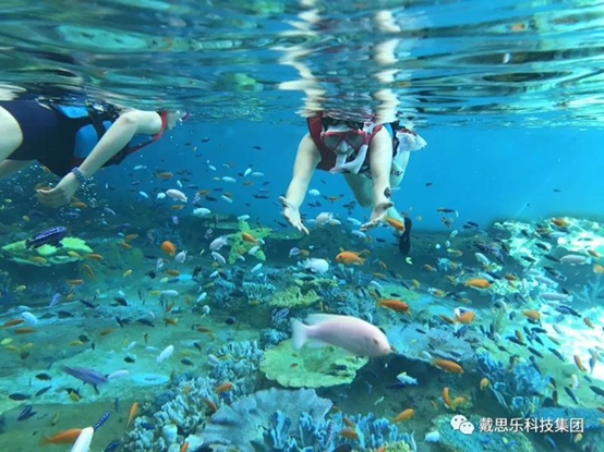 海洋浮潛館，海洋館設(shè)備