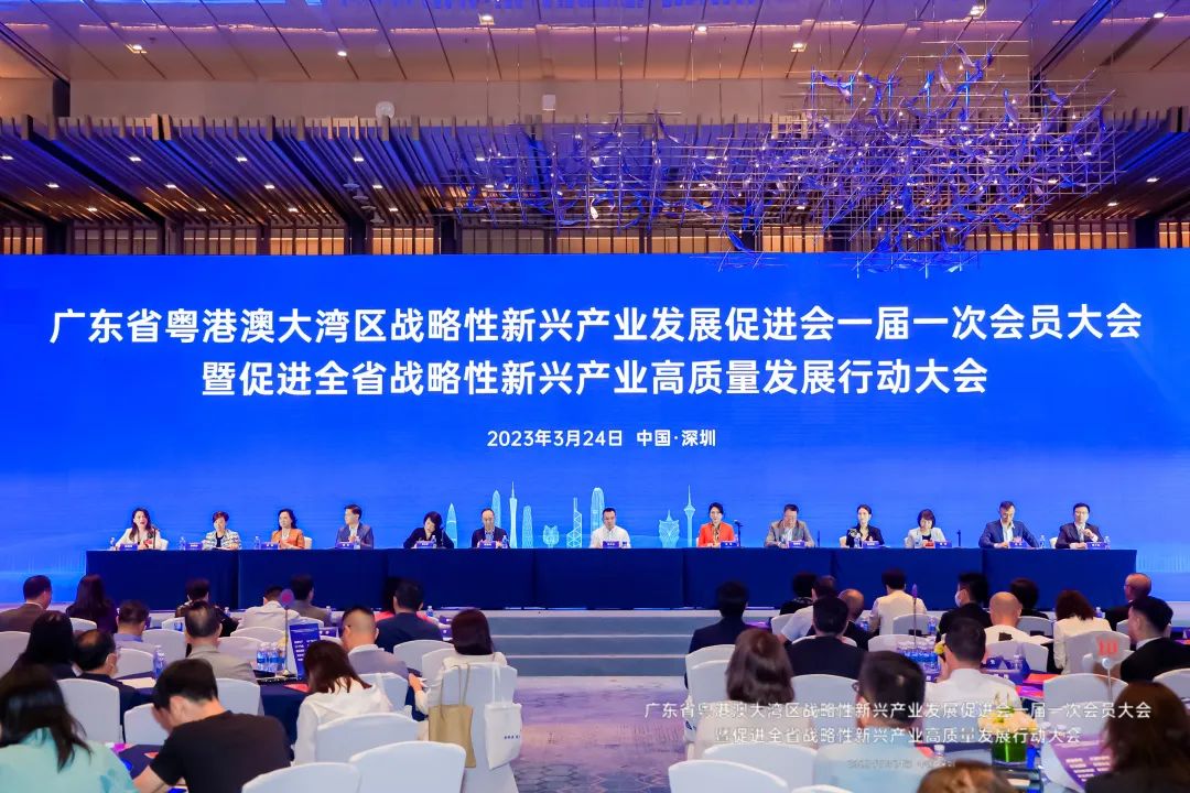戴思樂(lè)集團(tuán)當(dāng)選“大灣區(qū)戰(zhàn)新會(huì)”副會(huì)長(zhǎng)單位！