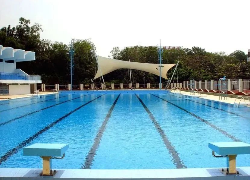 游泳池長(zhǎng)藻難清理？5 個(gè)高效除藻技巧，讓池水秒變清澈！