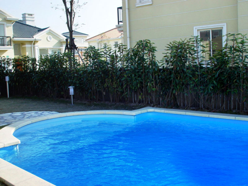 <b>游泳池水質(zhì)處理關(guān)鍵技巧，快速解決水質(zhì)不達(dá)標(biāo)、藻類滋生難題！</b>